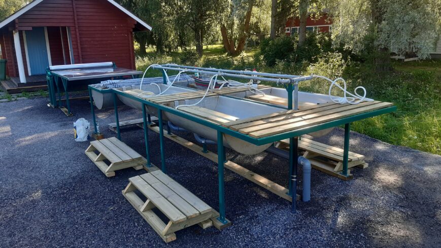 kesäinen, ulkona oleva matonpesupaikka.