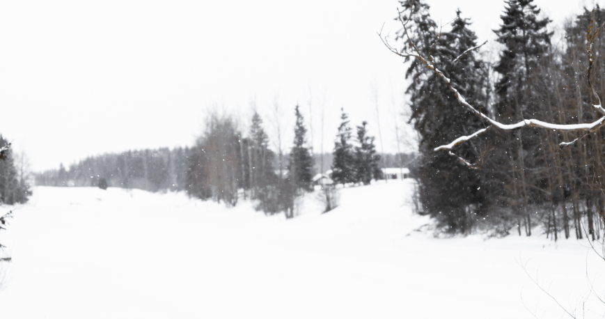 Luminen jokimaisema, jossa rannoilla puita ja heinää. Kuvaaja: Pirjo Tuominen.