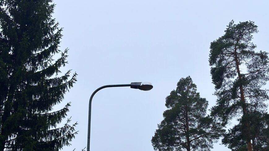 katuvalopylväs,kuusia,mäntyjä,taivasta.